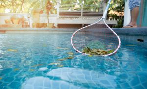 POOL CLEANING SERVICES