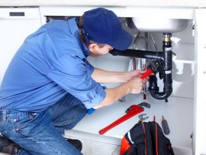 PLUMBER SERVICES
