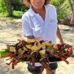 Speedboat Adventure - Ile Aux Cerfs With BBQ