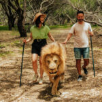 Casela, World of Adventures