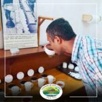 La Route Du Thé - Bois Chéri, St Aubin, Les Aubineaux