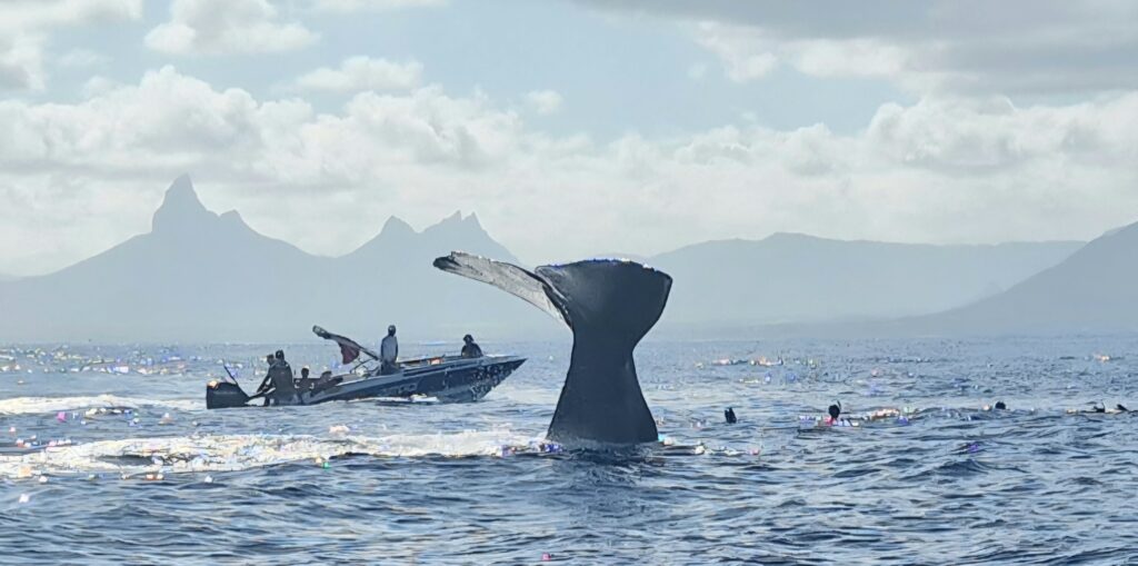 Image #2 from DAVID LUCAS