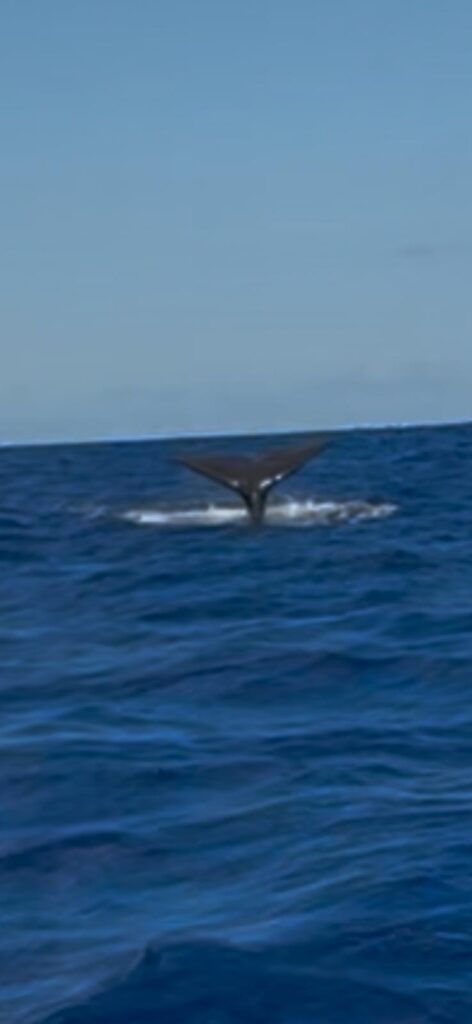 Image #1 from Christina