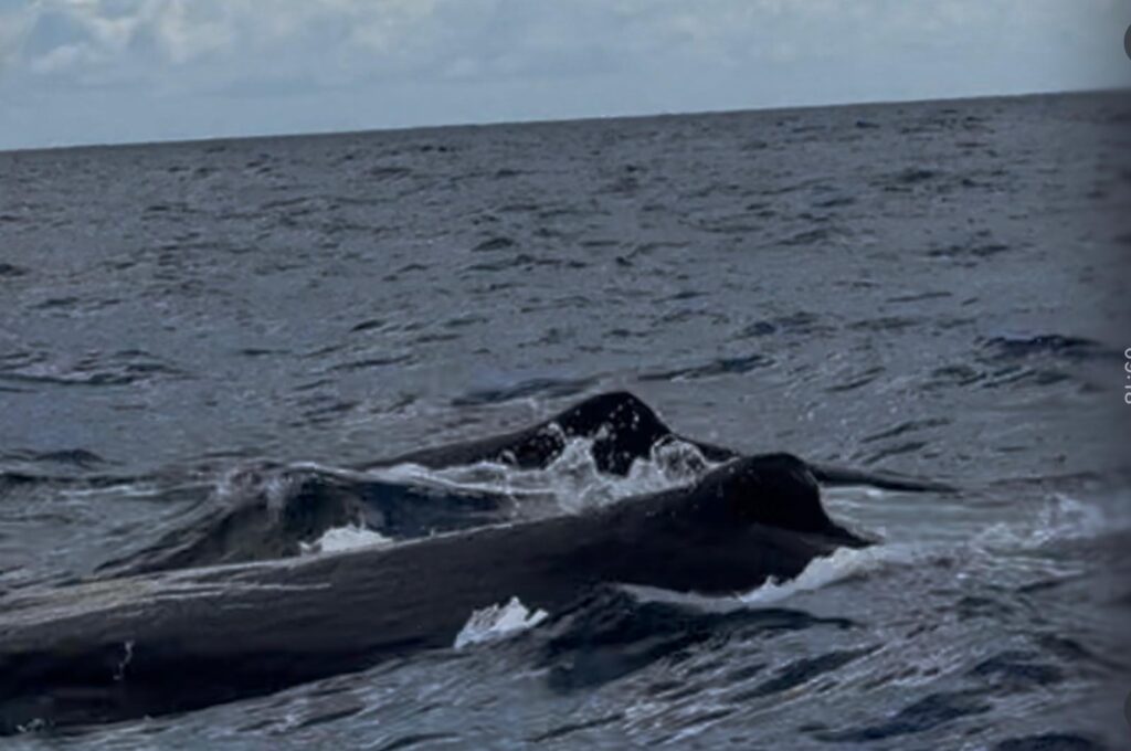 Image #2 from Christina